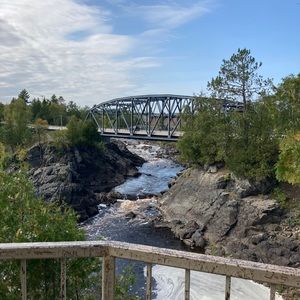 Meet your Posher, Riley